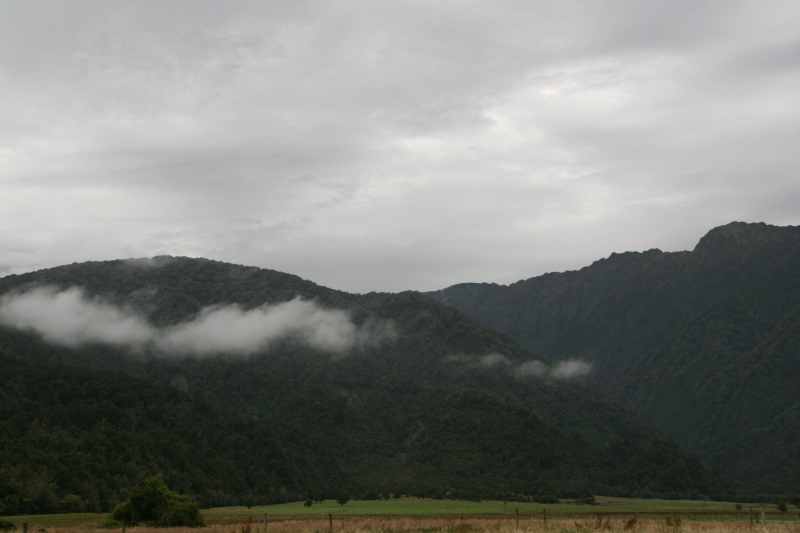 Nieuw-Zeeland 2011 - 1407